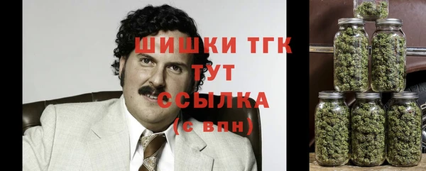 метадон Белокуриха