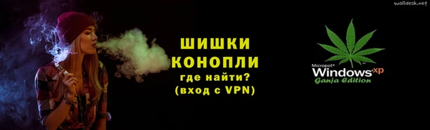 индика Елизово