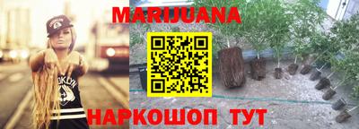 молекула духа Усть-Джегута