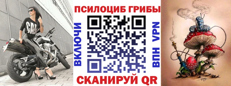 гидра ссылки  наркошоп  Дальнегорск  Галлюциногенные грибы Cubensis 