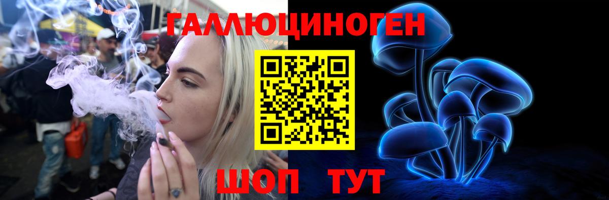 Галлюциногенные грибы мухоморы Дальнегорск
