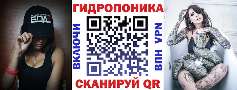 что такое Дальнегорск кракен зеркало Каннабис план